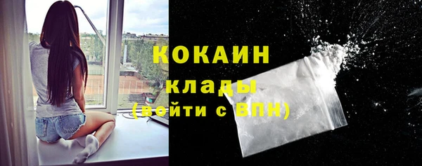бошки Алзамай