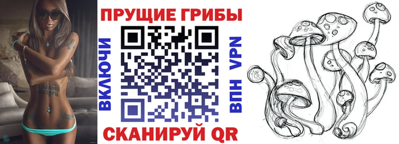 что такое Льгов Галлюциногенные грибы мицелий